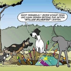 Wir w&uuml;nschen allen Tierfreunden ein gutes & gesundes Jahr 2026!

Auch in diesem Jahr appellieren wir wieder an unsere Mitmenschen, auf ein gro&szlig;es Silvesterfeuerwerksget&ouml;se zu verzichten und ein eher leises Silvester zu feiern. Nicht, weil wir Spielverderber sind und keinen Spa&szlig; verstehen, sondern insbesondere aus R&uuml;cksicht auf die Tier- und Umwelt.

Laut Umfragen spricht sich die Mehrheit der Deutschen f&uuml;r ein B&ouml;llerverbot aus und 2,7 Millionen Menschen haben sogar eine Petition der Polizeigewerkschaft  Berlin f&uuml;r ein B&ouml;llerverbot unterzeichnet. Doch dem gegen&uuml;ber stehen die Verkaufszahlen der pyrotechnischen Industrie. Wer die Werbeprospekte insbesondere der Discounter durchbl&auml;ttert, kann seitenweise Feuerwerksmunition erblicken. Und da kann einem wirklich angst und bange werden. Und leider beschr&auml;nkt sich das Abfeuern von B&ouml;llern und Raketen nicht auf die Silvesternacht, sondern beginnt schon Tage und Wochen vorher und endet leider erst Mitte Januar. 

Laute B&ouml;ller, zischende Raketen und helle Blitze bedeuten f&uuml;r die Tierwelt in der Regel Stress pur und l&ouml;sen bei vielen Tieren Angst und Panik aus. Doch man sollte nicht nur an die Haus-, sondern auch an die Bauernhof- und Wildtiere denken, die sich nicht in Sicherheit bringen k&ouml;nnen. 

Wir w&uuml;nschen allen Tierfreunden & ihren Tieren einen hoffentlich entspannten Jahreswechsel & alles Gute, vor allen Dingen Gesundheit, f&uuml;r 2026! Allen Rettungskr&auml;ften und der Polizei w&uuml;nschen wir einen hoffentlich friedlichen Abend.

Mit freundlicher Genehmigung von &copy; DOGTARI Olaf Neumann