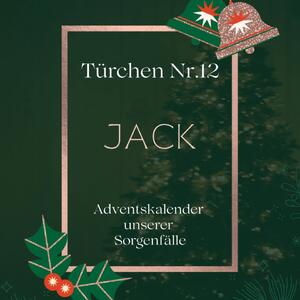 Jack geh&ouml;rt zu den Hunden, die es nicht leicht haben, ein Zuhause zu finden&hellip;
Umso gr&ouml;&szlig;er war unsere Freude, als er endlich einen Menschen gefunden hatte, der ihn liebte. Doch das Schicksal meinte es anders: Sein Besitzer ist leider verstorben &ndash; und so trat Jack schweren Herzens den Weg zur&uuml;ck zu uns ins Tierheim an. F&uuml;r ihn brach eine Welt zusammen.
Als er zur&uuml;ckkam, brachte er fast 50 kg auf die Waage &ndash; also hie&szlig; es erst einmal: Di&auml;t!
Mittlerweile hat er wieder ein gesundes Gewicht erreicht. Doch eine Sache ist gleichgeblieben: Jack geht nur ungern selbstst&auml;ndig aus seinem Zwinger heraus. Autofahren dagegen? Geht immer!
Deshalb handhaben wir es so, dass unsere Gassigeher ihn anleinen und wir sie ein St&uuml;ck vom Tierheim wegfahren &ndash; dann l&auml;uft Jack seine Runde entspannt. Bei manchen vertrauten Gassigehern geht er inzwischen sogar ohne &bdquo;Taxi-Service&ldquo; mit.
Der Alltag im Tierheim f&auml;llt ihm allerdings schwer. W&auml;hrend der Besuchszeiten versteckt er sich oft, weil ihn viele fremde Menschen stressen.
Er hatte bereits eine Chance auf eine Pflegestelle &ndash; die ersten zwei Tage liefen super, doch dann fing er an, die Katzen zu jagen und wollte bei den anderen Hunden das Sagen haben.
Darum suchen wir f&uuml;r Jack ein Zuhause bei hundeerfahrenen Menschen, ohne Katzen und ohne weitere Hunde, die bereit sind, sich dieser besonderen Herausforderung liebevoll zu stellen.
Zus&auml;tzlich bekommt Jack Nierenfutter und sollte alle 6 Monate ein Blutbild bekommen.
Dabei ist Jack ein wirklich toller Kerl: Er liebt es zu kuscheln, genie&szlig;t N&auml;he und Zeit mit seinen Menschen. Auch seine Kuscheltiere sind ihm heilig &ndash; zumindest so lange, wie sie halten.
Wer Jack kennenlernen m&ouml;chte, kann uns gerne eine E-Mail schreiben oder w&auml;hrend unserer &Ouml;ffnungszeiten vorbeikommen.
Vielleicht bist genau du sein Happy End.