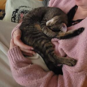 Marta w&uuml;nscht sch&ouml;ne Gr&uuml;&szlig;e aus Ihrem neuen Zuhause ❤️