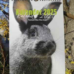 Unser Tierheimkalender 2025 ist da!

Druckfrisch eingetroffen ist heute endlich unser Tierheimkalender 2025. Ob Hund, Katze oder Kleintier: 13 wunderschöne Motive unserer tierischen Bewohner begleiten Tierfreunde durch das nächste Jahr. Im Kalendarium ist genügend Platz, um wichtige Termine einzutragen und ausgewählte Zitate zum Nachdenken runden jedes Monatsblatt ab.

Wer noch auf der Suche nach einem Mitbringsel für einen Tierfreund ist oder sich selbst eine Freude machen möchte, hat mit dem Tierheimkalender nicht nur ein schönes Geschenk, sondern kann auch gleichzeitig etwas Gutes tun und unsere Tierschutzarbeit unterstützen.

Der Kalender kostet nur 5,- Euro und kann in unseren Öffnungszeiten erworben werden. Auf Wunsch senden wir den Kalender auch per Post zu (zzgl. Portokosten) und benötigen Angaben zu der gewünschten Stückzahl und die vollständige Anschrift. Bestellungen per Mail bitte an tierheim@wau-mau-insel.de