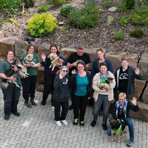 Unser Team